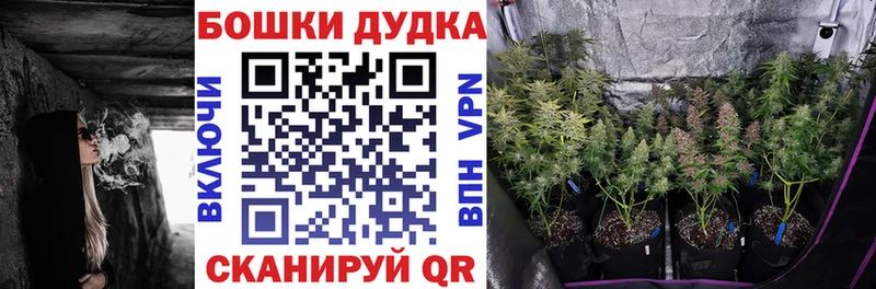 Магазины продажи наркотиков Новохопёрск КОКАИН  МАРИХУАНА  Меф мяу мяу  omg маркетплейс  Галлюциногенные грибы  ГАШ  АМФ 