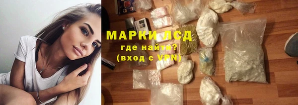 мяу мяу мука Бородино