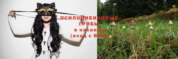 мяу мяу мука Бородино