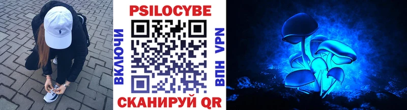 Псилоцибиновые грибы прущие грибы  Новохопёрск 